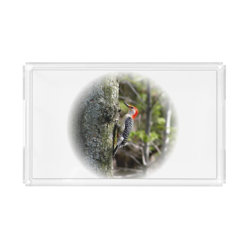 Red Bellied Woodpecker Acrylic Tray