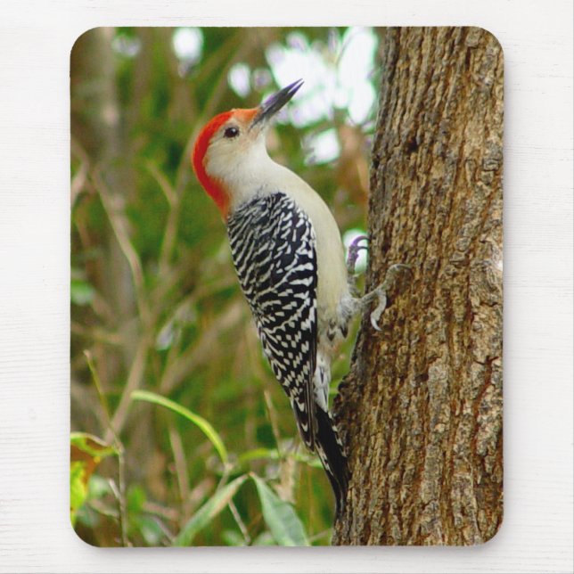 Red bellied Woodpecker Bird Mousepad (Front)