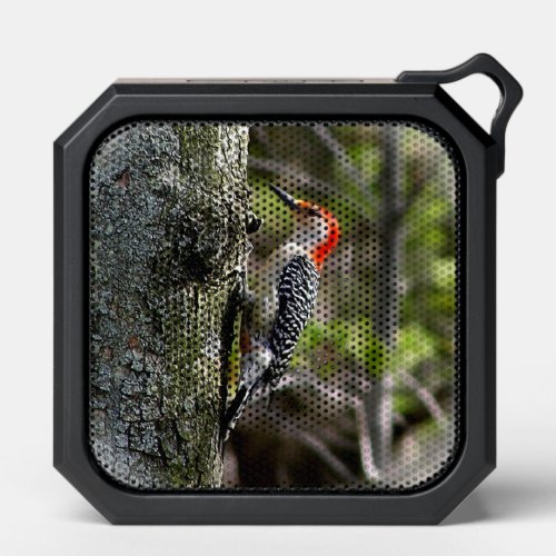Red Bellied Woodpecker Bluetooth Speaker