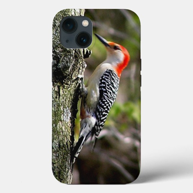 Red Bellied Woodpecker Case-Mate iPhone Case (Back)