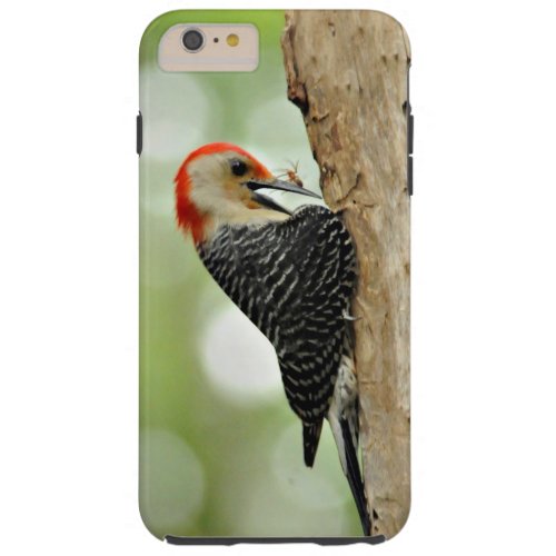 Red_Bellied Woodpecker Tough iPhone 6 Plus Case