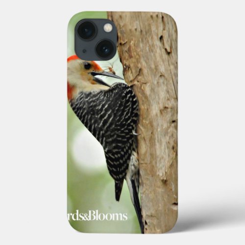Red_Bellied Woodpecker iPhone 13 Case