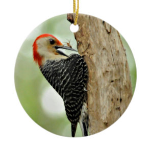 Red-Bellied Woodpecker Ceramic Ornament