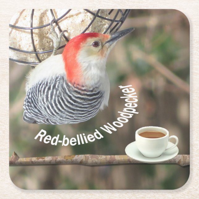 Red-bellied Woodpecker Coaster Set. (Front)