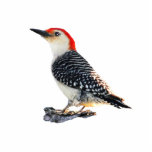 Red-Bellied Woodpecker Cutout<br><div class="desc">An image of a Red-Bellied Woodpecker</div>