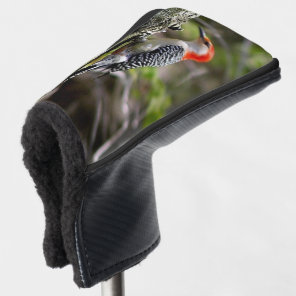 Red Bellied Woodpecker Golf Head Cover