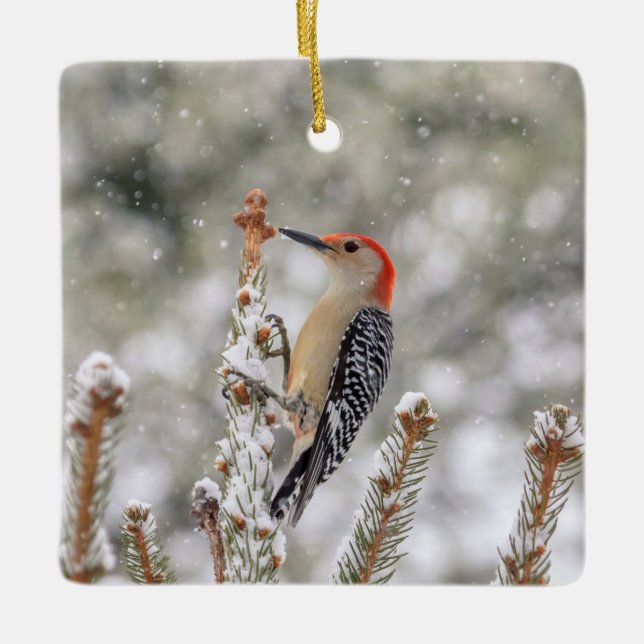Red-bellied Woodpecker in the snow Ceramic Ornament (Front)
