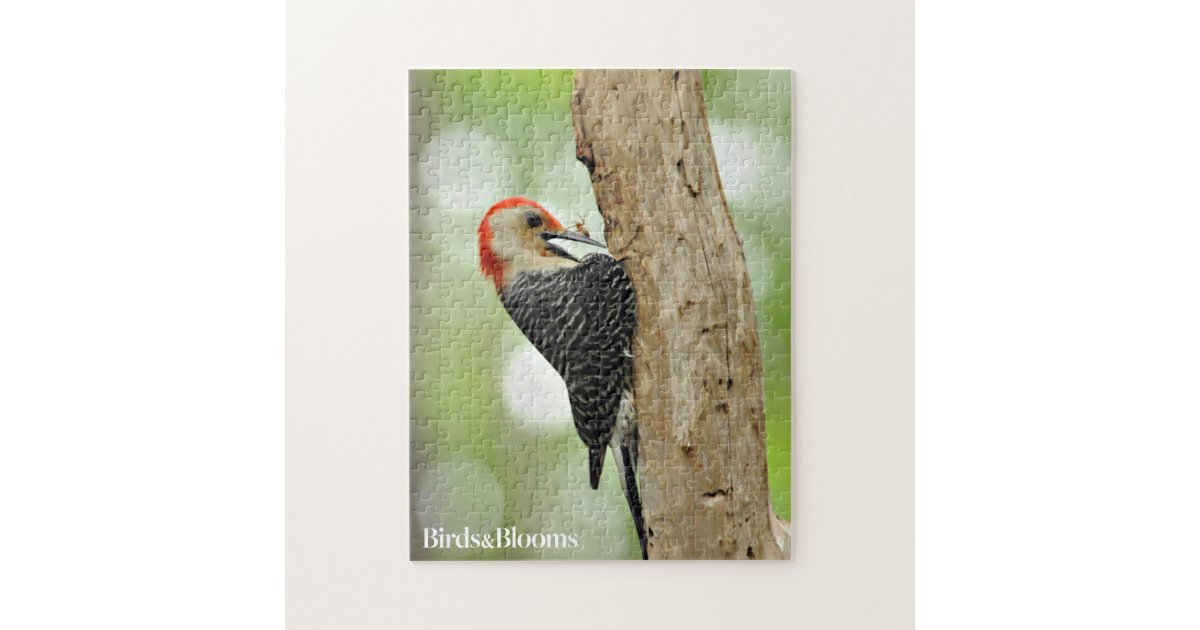 RedBellied Woodpecker Jigsaw Puzzle Zazzle