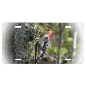Red Bellied Woodpecker License Plate