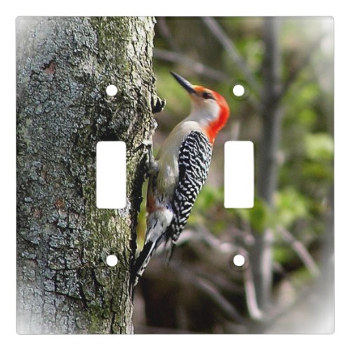 Red Bellied Woodpecker Light Switch Cover