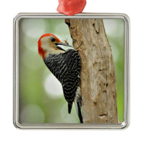 Red-Bellied Woodpecker Metal Ornament