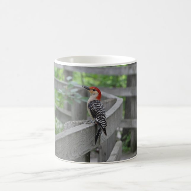 Red-bellied woodpecker mug (Center)
