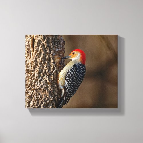 Red_Bellied Woodpecker on a Tree 8x10 Canvas Print