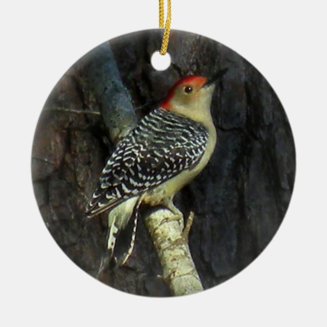 Red-bellied Woodpecker Ornament (Front)