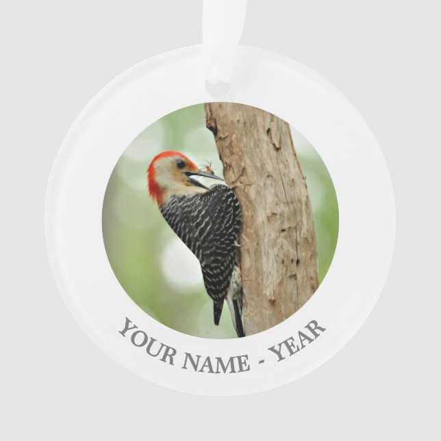 Red-Bellied Woodpecker Ornament (Front)