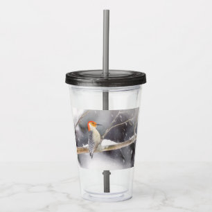 Red-Bellied Woodpecker Painting Original Bird Art Acrylic Tumbler