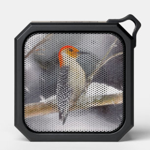 Red-Bellied Woodpecker Painting Original Bird Art Bluetooth Speaker
