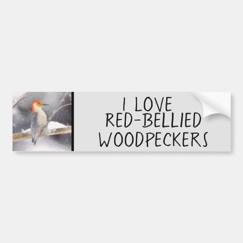 Red_Bellied Woodpecker Painting Original Bird Art Bumper Sticker