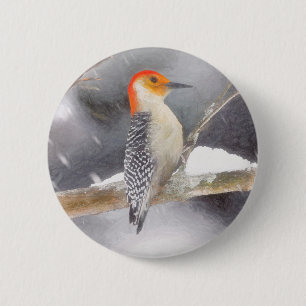 Red-Bellied Woodpecker Painting Original Bird Art Button