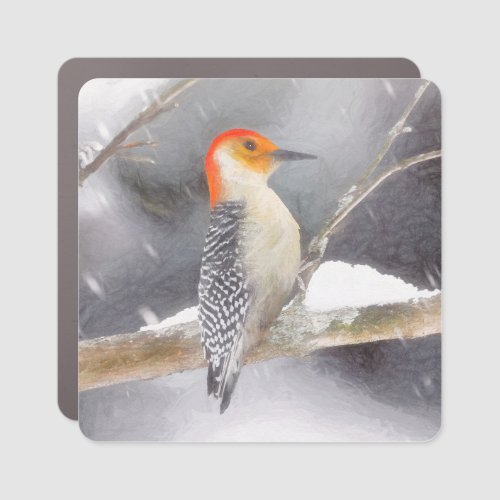 Red_Bellied Woodpecker Painting Original Bird Art Car Magnet