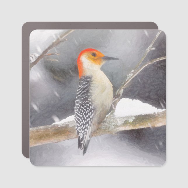 Red-Bellied Woodpecker Painting Original Bird Art Car Magnet (Front)