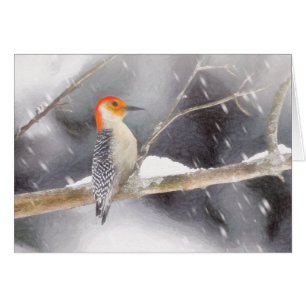 Red-Bellied Woodpecker Painting Original Bird Art Cards