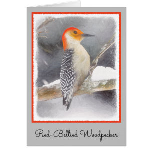 Red-Bellied Woodpecker Painting Original Bird Art Cards