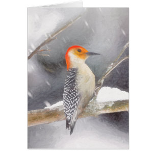 Red-Bellied Woodpecker Painting Original Bird Art Cards