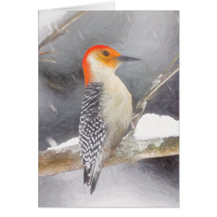 Red-Bellied Woodpecker Painting Original Bird Art Cards