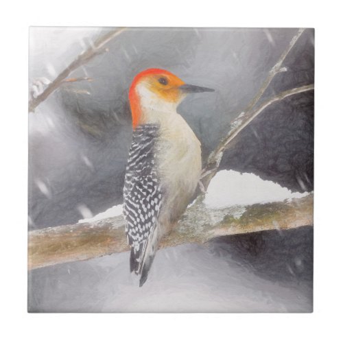 Red_Bellied Woodpecker Painting Original Bird Art Ceramic Tile