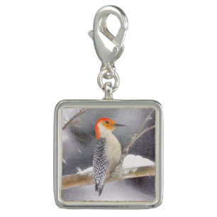 Red-Bellied Woodpecker Painting Original Bird Art Charm