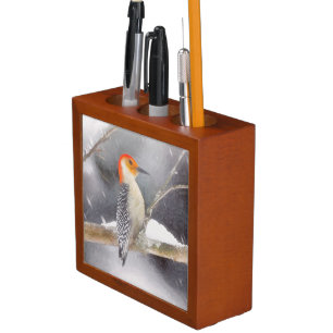 Red-Bellied Woodpecker Painting Original Bird Art Desk Organizer