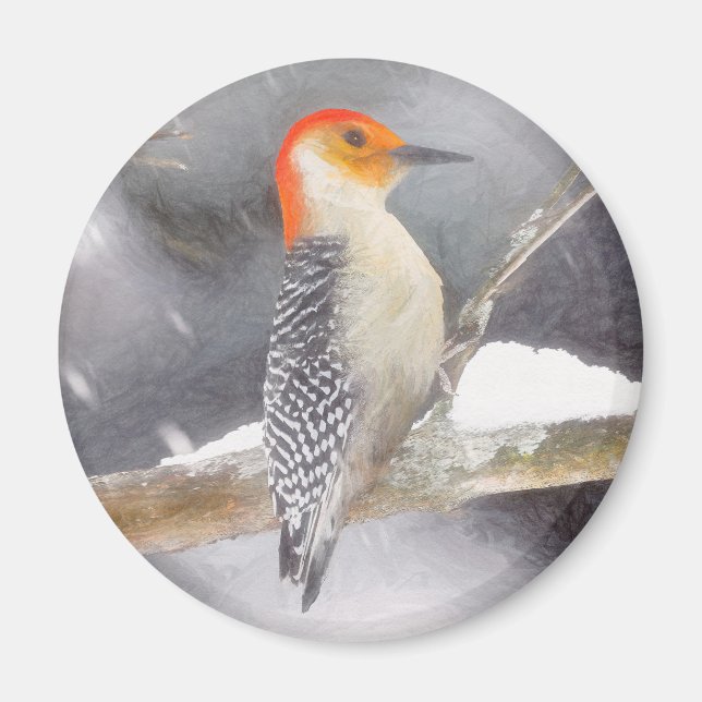 Red-Bellied Woodpecker Painting Original Bird Art Magnet (Front)