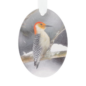 Red-Bellied Woodpecker Painting Original Bird Art Ornament