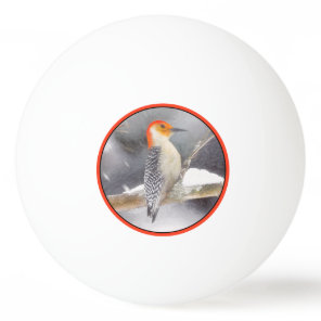 Red-Bellied Woodpecker Painting Original Bird Art Ping Pong Ball