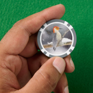 Red-Bellied Woodpecker Painting Original Bird Art Poker Chips
