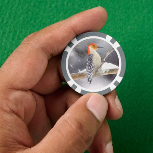Red_Bellied Woodpecker Painting Original Bird Art Poker Chips