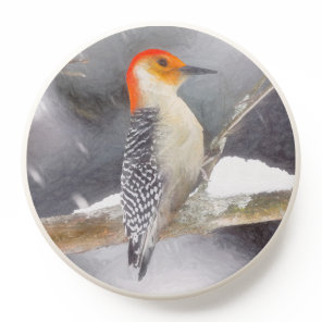 Red-Bellied Woodpecker Painting Original Bird Art PopSocket