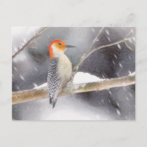 Red_Bellied Woodpecker Painting Original Bird Art Postcard