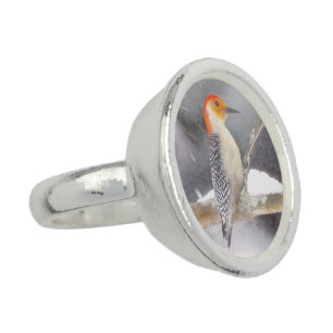 Red-Bellied Woodpecker Painting Original Bird Art Ring