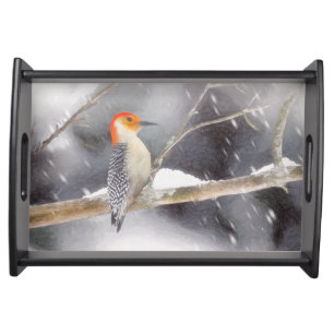 Red-Bellied Woodpecker Painting Original Bird Art Serving Tray