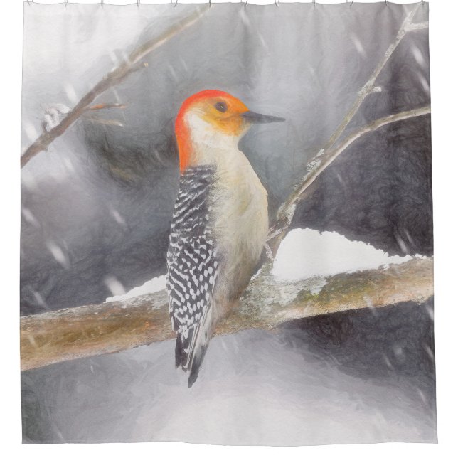 Red-Bellied Woodpecker Painting Original Bird Art Shower Curtain (Front)