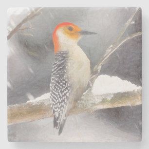 Red-Bellied Woodpecker Painting Original Bird Art Stone Coaster