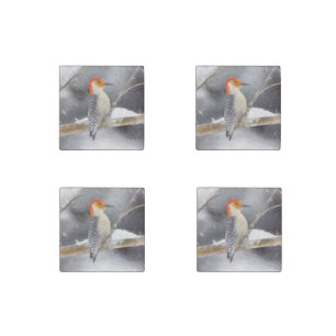 Red-Bellied Woodpecker Painting Original Bird Art Stone Magnet