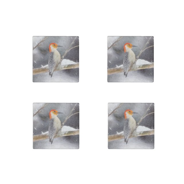 Red-Bellied Woodpecker Painting Original Bird Art Stone Magnet (Front)