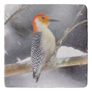 Red-Bellied Woodpecker Painting Original Bird Art Trivet