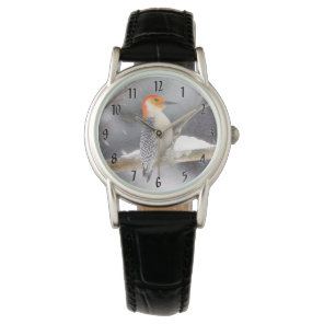 Red-Bellied Woodpecker Painting Original Bird Art Watch