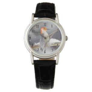 Red-Bellied Woodpecker Painting Original Bird Art Watch