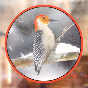 Red-Bellied Woodpecker Painting Original Bird Art Window Cling