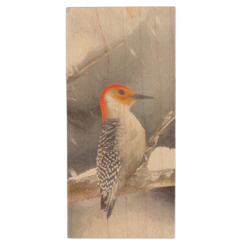 Red_Bellied Woodpecker Painting Original Bird Art Wood Flash Drive